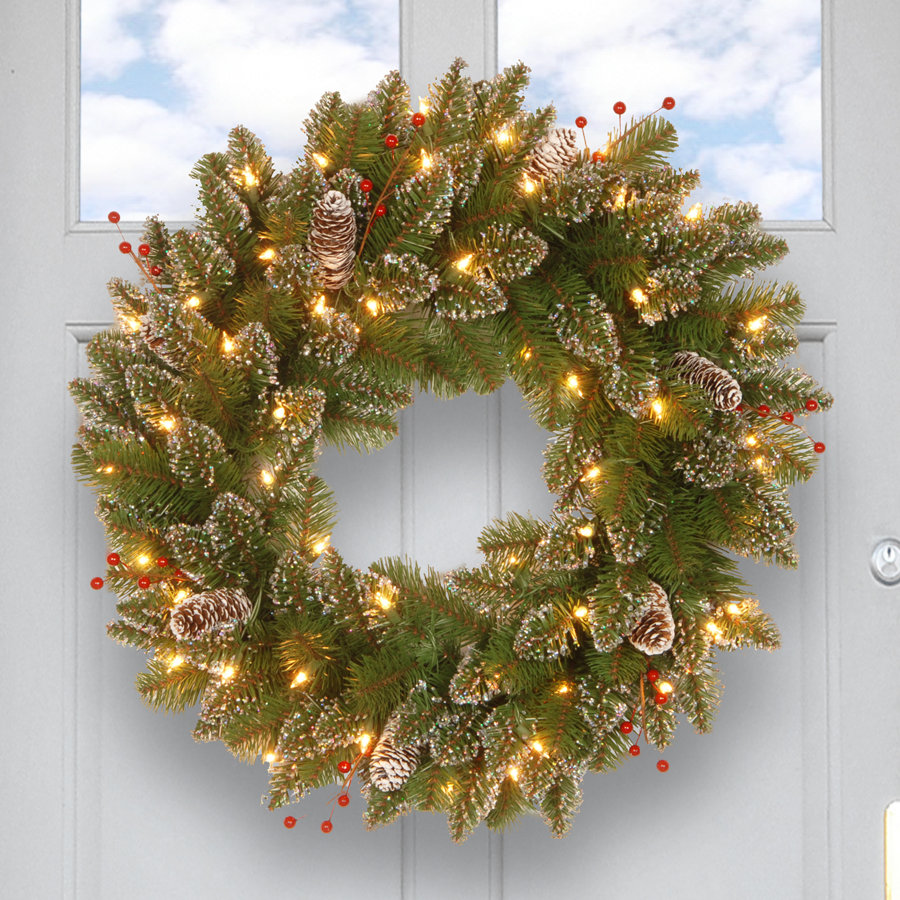 The Holiday Aisle® 24 in. Glittery Mountain Spruce with LED Lights